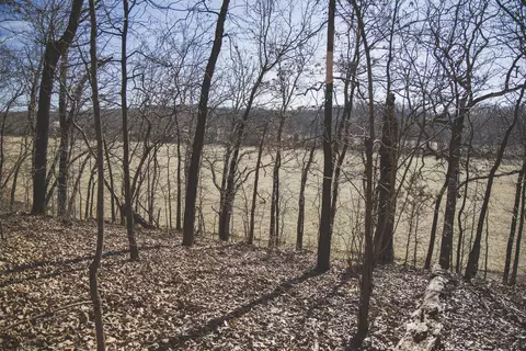 000 Nettle Dr, Neosho, MO 64850 photo 7