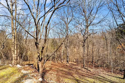 Exterior - 202 Cardinal Rd, Forsyth, MO 65653 photo 10 of 10