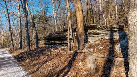 000 Rr Center Rd, Ozark, MO 65721 photo 6