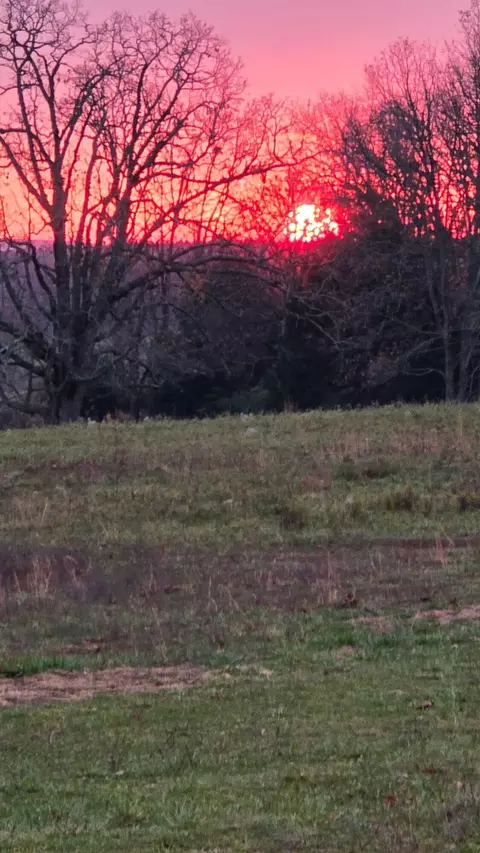 Other - 2190 St Highway 181, Dora, MO 65637 photo 18 of 28