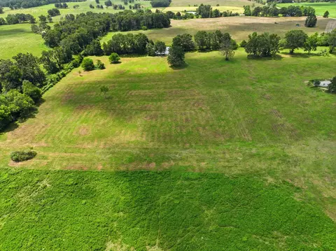 View/Area - 2190 St Highway 181, Dora, MO 65637 photo 16 of 19