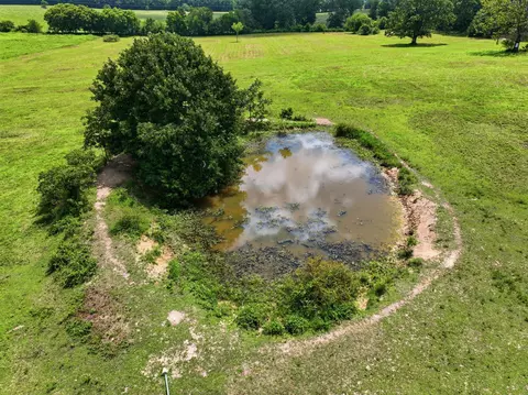 View/Area - 2190 St Highway 181, Dora, MO 65637 photo 3 of 19