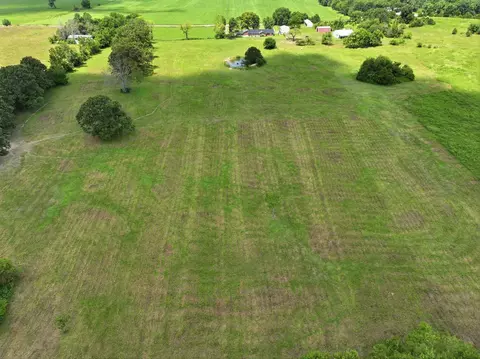 View/Area - 2190 St Highway 181, Dora, MO 65637 photo 5 of 19