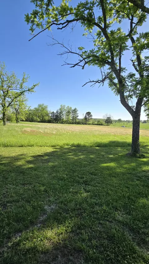 Exterior - 2190 St Highway 181, Dora, MO 65637 photo 7 of 12