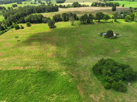 View/Area - 2190 St Highway 181, Dora, MO 65637 photo 15 of 19