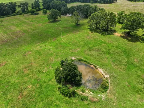 Other - 2190 St Highway 181, Dora, MO 65637 photo 27 of 28