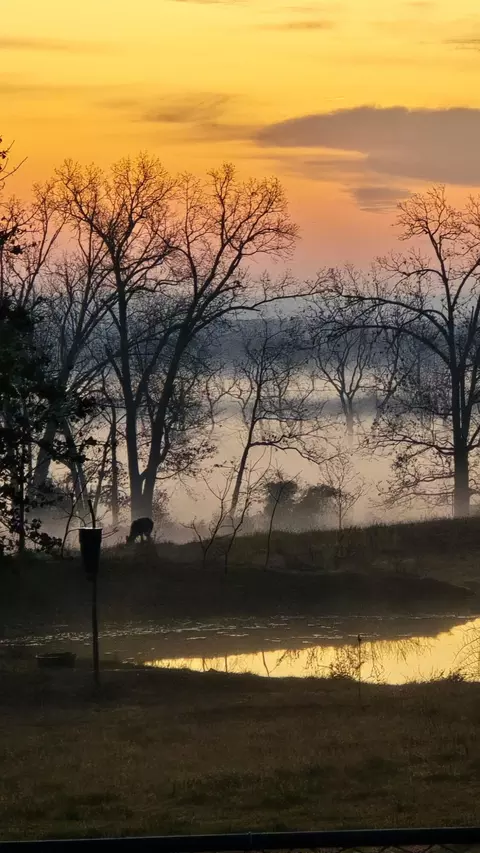 View/Area - 2190 St Highway 181, Dora, MO 65637 photo 6 of 19