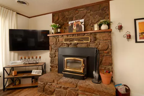 Living - 195 Ludora Dr, Shell Knob, MO 65747 photo 6 of 6