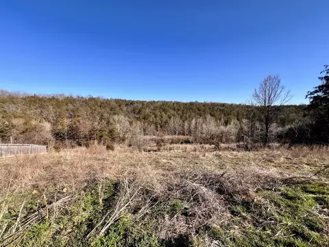 121 Jury Ln, Branson, MO 65616