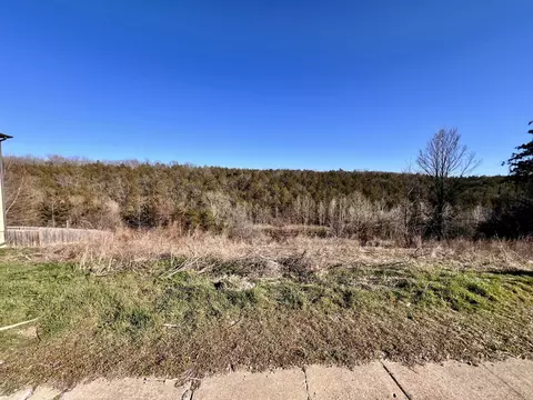 121 Jury Ln, Branson, MO 65616 photo 2