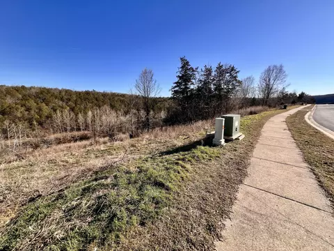 121 Jury Ln, Branson, MO 65616 photo 3