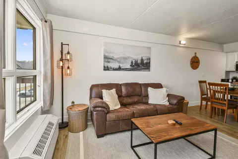 Living - 403 Veterans Blvd #202, Branson, MO 65616 photo 3 of 5