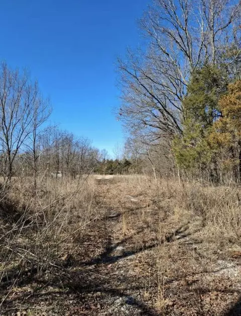 6237 Hunters Glen Rd, Seligman, MO 65745