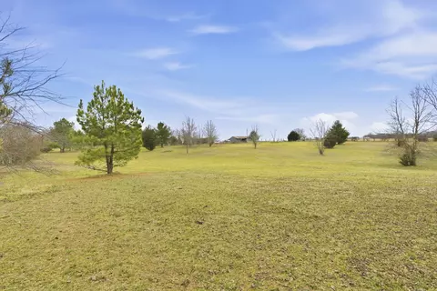 634 Trout Rd, Ozark, MO 65721 photo 25