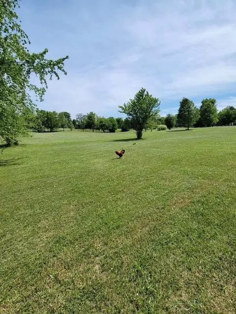 634 Trout Rd, Ozark, MO 65721 photo 26