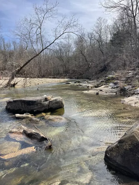 Tract 1 County Road 14-534, Ava, MO 65608