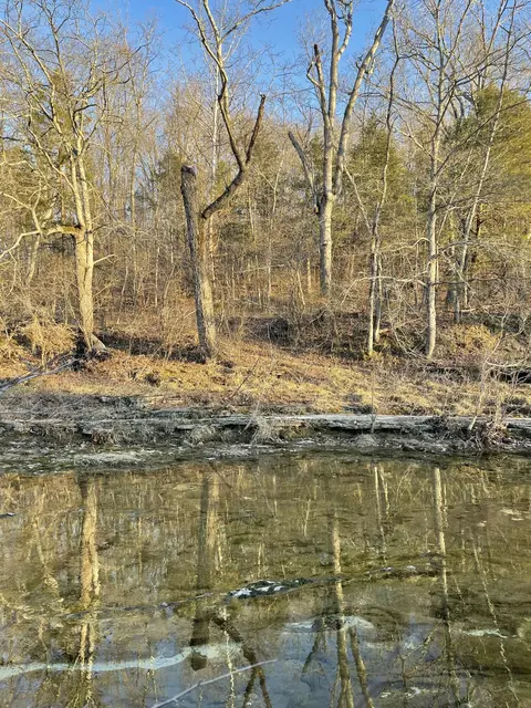 Tract 2 County Road 14-534, Ava, MO 65608