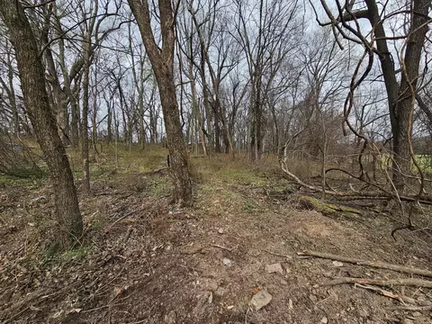 000 E Garner St, Goodman, MO 64843 photo 3