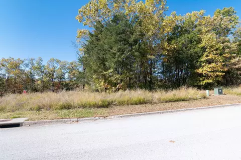 lot1 Redwine Ave, Branson, MO 65616 photo 5