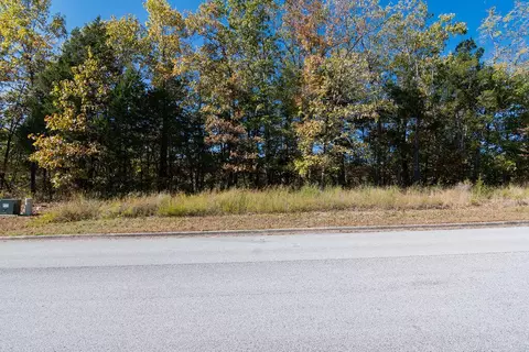 lot2 Redwine Ave, Branson, MO 65616 photo 6