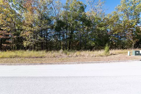 lot3 Redwine Ave, Branson, MO 65616 photo 5