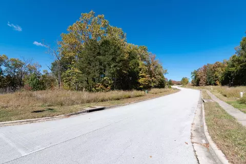 lot3 Redwine Ave, Branson, MO 65616 photo 6
