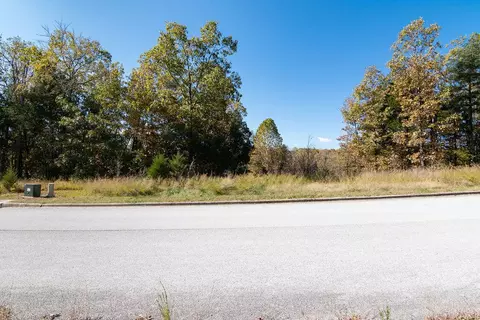 lot4 Redwine Ave, Branson, MO 65616 photo 5