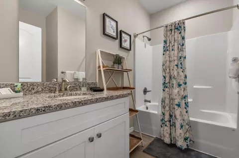 Bath - 3103 S Vineyards Ter UNIT 4, Branson, MO 65616 photo 1 of 4