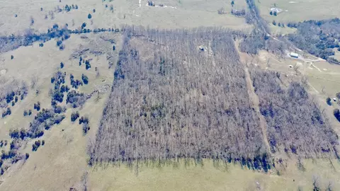 1790 County Rd A-435, Ava, MO 65608