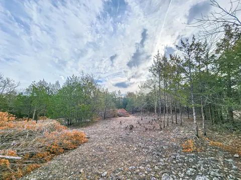 00 Tall Oaks, Pittsburg, MO 65724