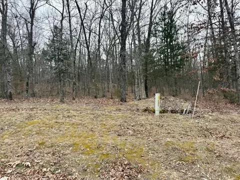 lot81 Green Cypress Ln, Shell Knob, MO 65747 photo 3
