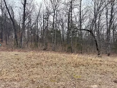 lot81 Green Cypress Ln, Shell Knob, MO 65747 photo 5