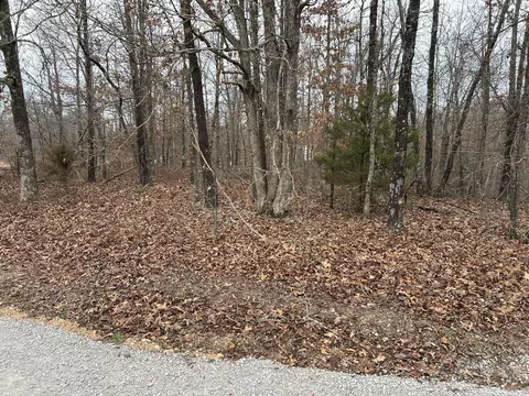 000 Pine Tree Dr #000, Pineville, MO 64856 photo 9