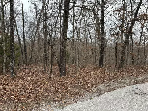 000 Pine Tree Dr #000, Pineville, MO 64856 photo 6