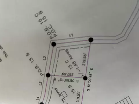 000 Pine Tree Dr #000, Pineville, MO 64856 photo 3