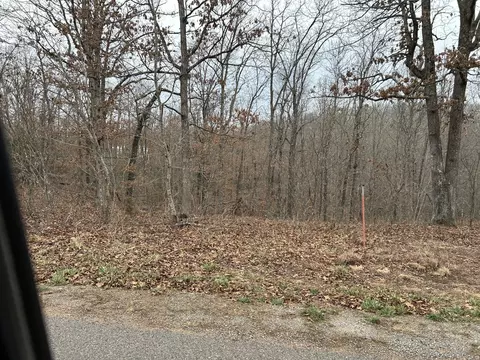 000 Pine Tree Dr #000, Pineville, MO 64856 photo 8