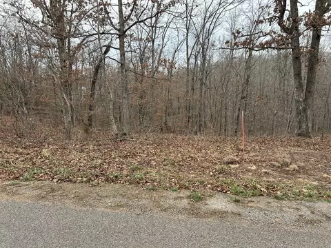 000 Pine Tree Dr #000, Pineville, MO 64856 photo 4