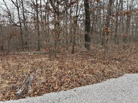 000 Pine Tree Dr #000, Pineville, MO 64856 photo 5