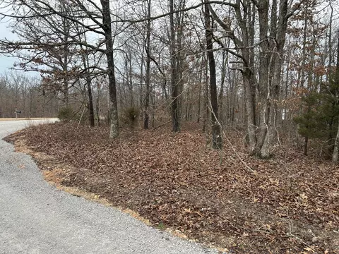 000 Pine Tree Dr #000, Pineville, MO 64856 photo 7