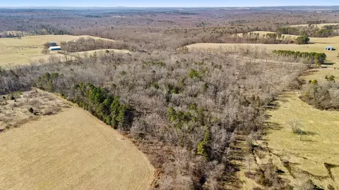 tbd Finley Rd, Cabool, MO 65689 photo 7