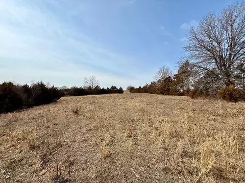 Other - 000 State Highway M Tract C, Cabool, MO 65689 photo 8 of 9