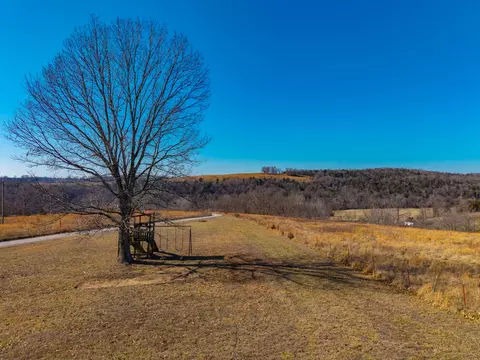199 Limbhanger Dr, Squires, MO 65755 photo 54