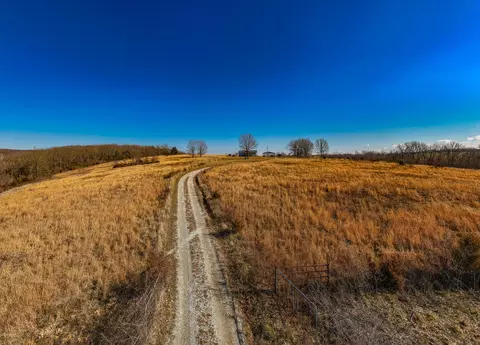 199 Limbhanger Dr, Squires, MO 65755 photo 34
