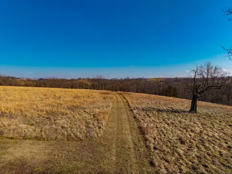 199 Limbhanger Dr, Squires, MO 65755 photo 39