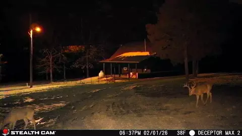 Other - 555 Trimble Rd, Protem, MO 65733 photo 10 of 10