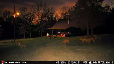 Other - 555 Trimble Rd, Protem, MO 65733 photo 9 of 10