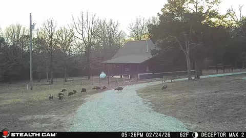 Other - 555 Trimble Rd, Protem, MO 65733 photo 7 of 10
