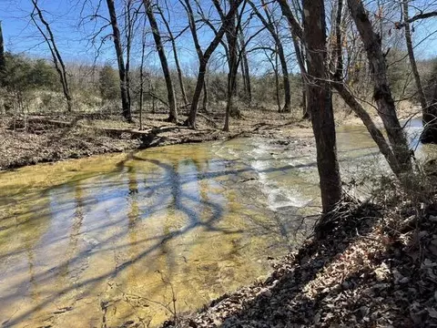 View/Area - 815 Forest Vw, Saddlebrooke, MO 65630 photo 6 of 6