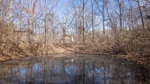 View/Area - 509 Old Cane Bluff Rd, Alton, MO 65606 photo 1 of 10