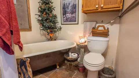 Bath - 509 Old Cane Bluff Rd, Alton, MO 65606 photo 1 of 4